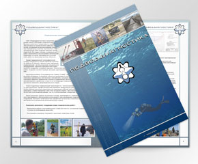 Css Template Preview